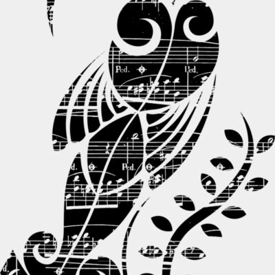 huia song black Thumbnail